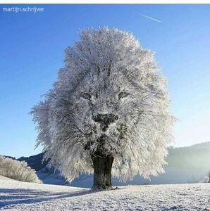 Meet your Posher, Judy